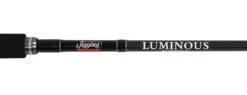 Jigging World Luminous Popping Rods -Fishing Gear Store jigging world luminous popping rods 30297.1680784547