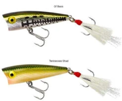 Rebel P50 Teeny Pop-R 2in -Fishing Gear Store rebel p50 teeny pop r 2in 18331.1651013318