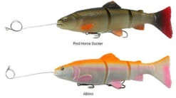 Fishing Gear Store -Fishing Gear Store savage gear pre rigged 3d line thru trout lures 89082.1650821678