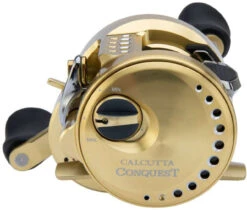 Shimano Calcutta Conquest 100 & 200 A Baitcasting Reels -Fishing Gear Store shimano calcutta conquest 100 200 baitcasting reels 24105.1651376438