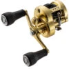 Shimano Calcutta Conquest MD Baitcasting Reels -Fishing Gear Store shimano calcutta conquest md baitcasting reels 10126.1674255439