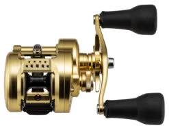 Shimano Calcutta Conquest MD Baitcasting Reels -Fishing Gear Store shimano calcutta conquest md baitcasting reels 25316.1674255441