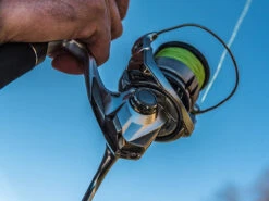 Shimano Stradic FL Spinning Reels 11 Shimano Stradic FL Spinning Reels -Fishing Gear Store shimano stradic fl spinning reels 33628.1651246853