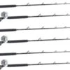 Shimano Talica TAC20BFC / TackleDirect Platinum Hook White Marlin Package W/ 6 Combos -Fishing Gear Store tackledirect tdps662040sin shimano tac20bfc white marlin package 11366.1651325952.386.513